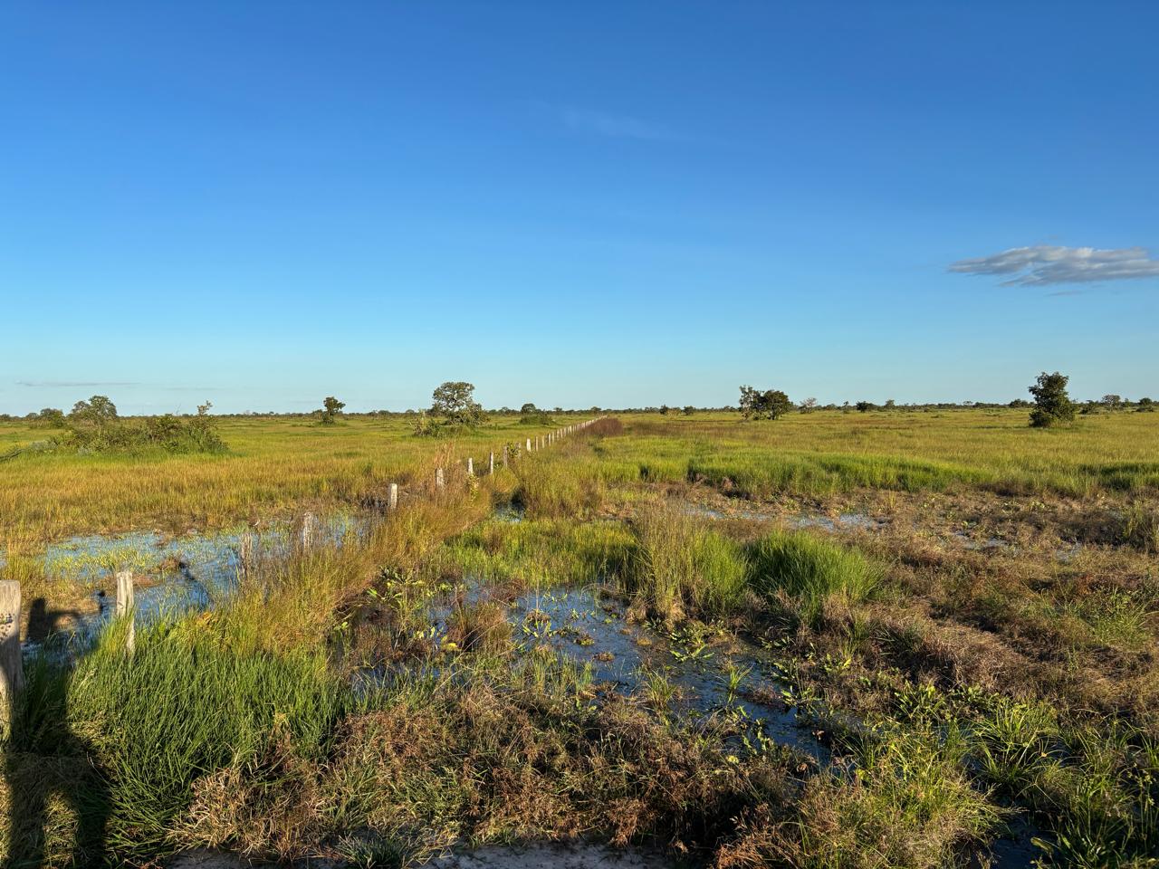 Fazenda Barro Preto à Venda Cocalinho