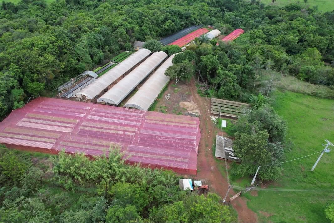Fazenda à Venda Cajuru