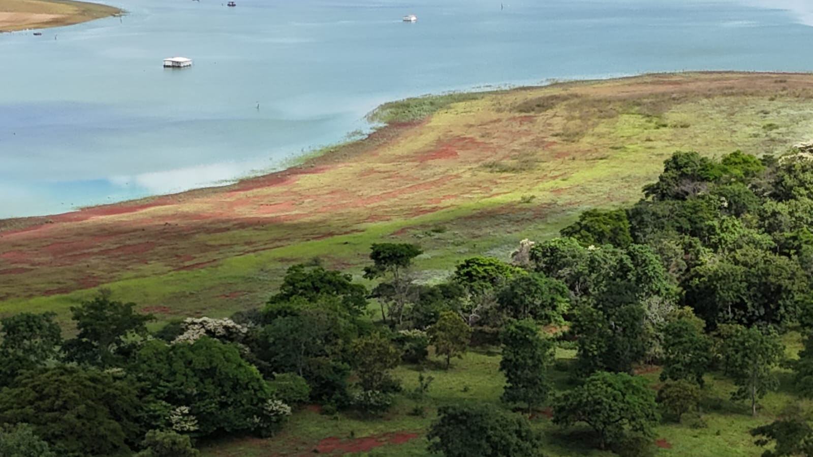 Fazenda à Venda Cardoso