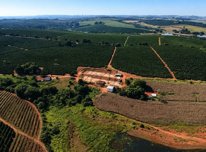 Sítio de Café à Venda Alfenas Minas Gerais