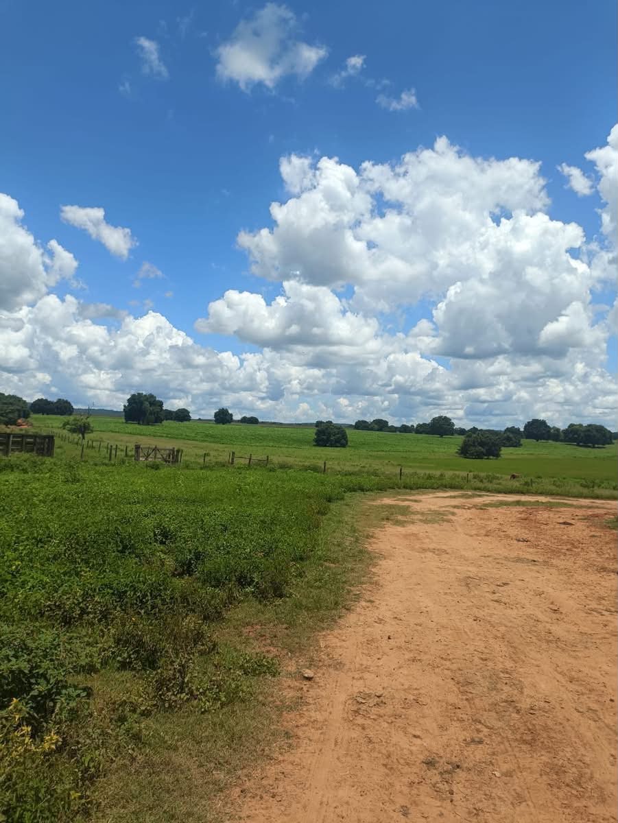 Fazenda à Venda Manga - Minas Gerais