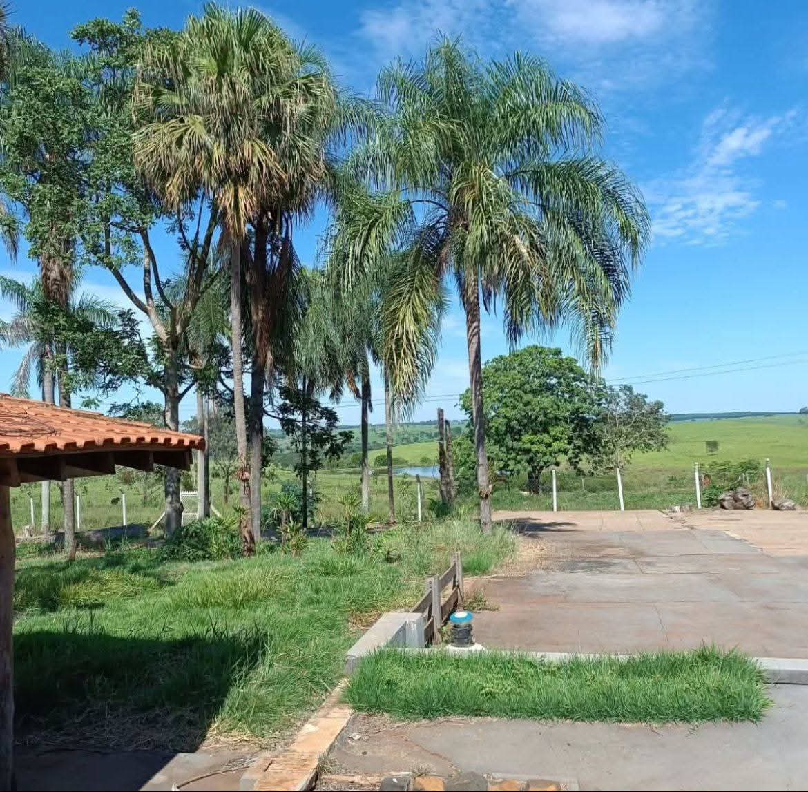 Fazenda à Venda em Monte Aprazível - São Paulo