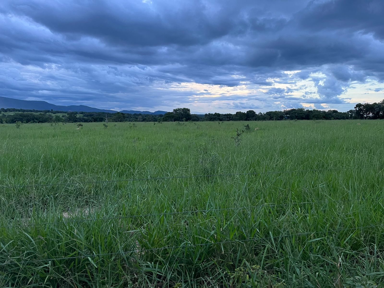 Fazenda à Venda em Uirapuru - Goiás
