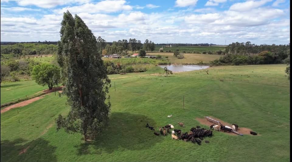 Fazenda à Venda em Avaré - São Paulo
