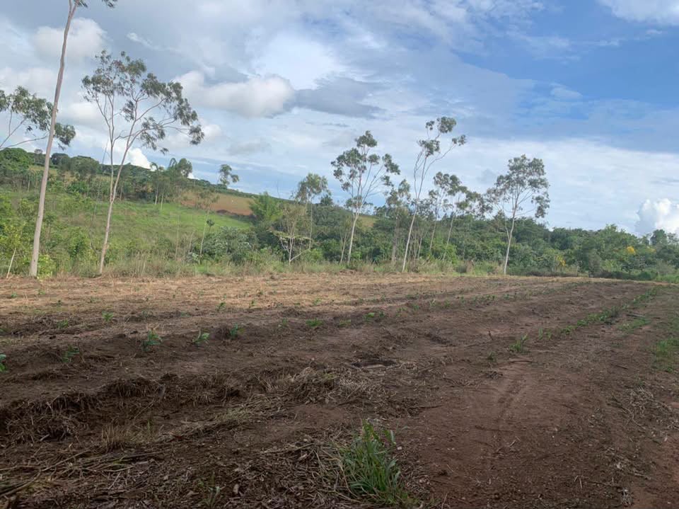 Fazenda à Venda em Pirapora - Minas Gerais