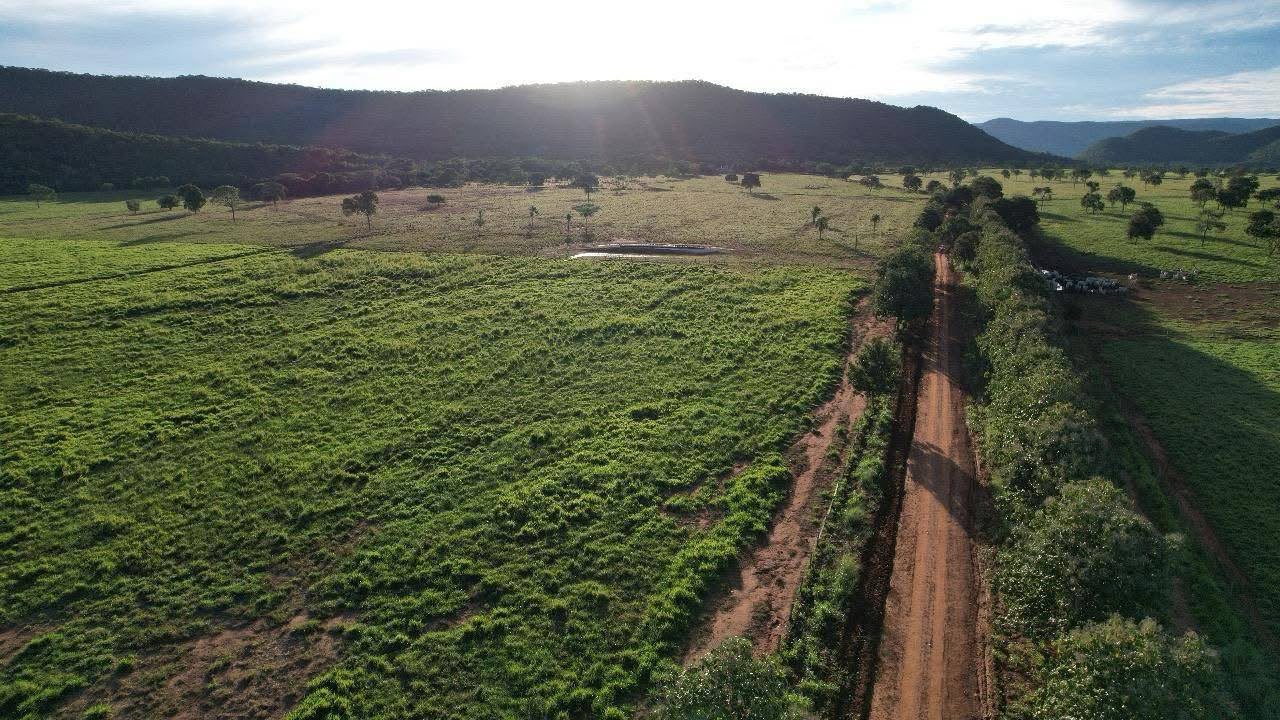 Fazenda à Venda em Cáceres - Mato Grosso