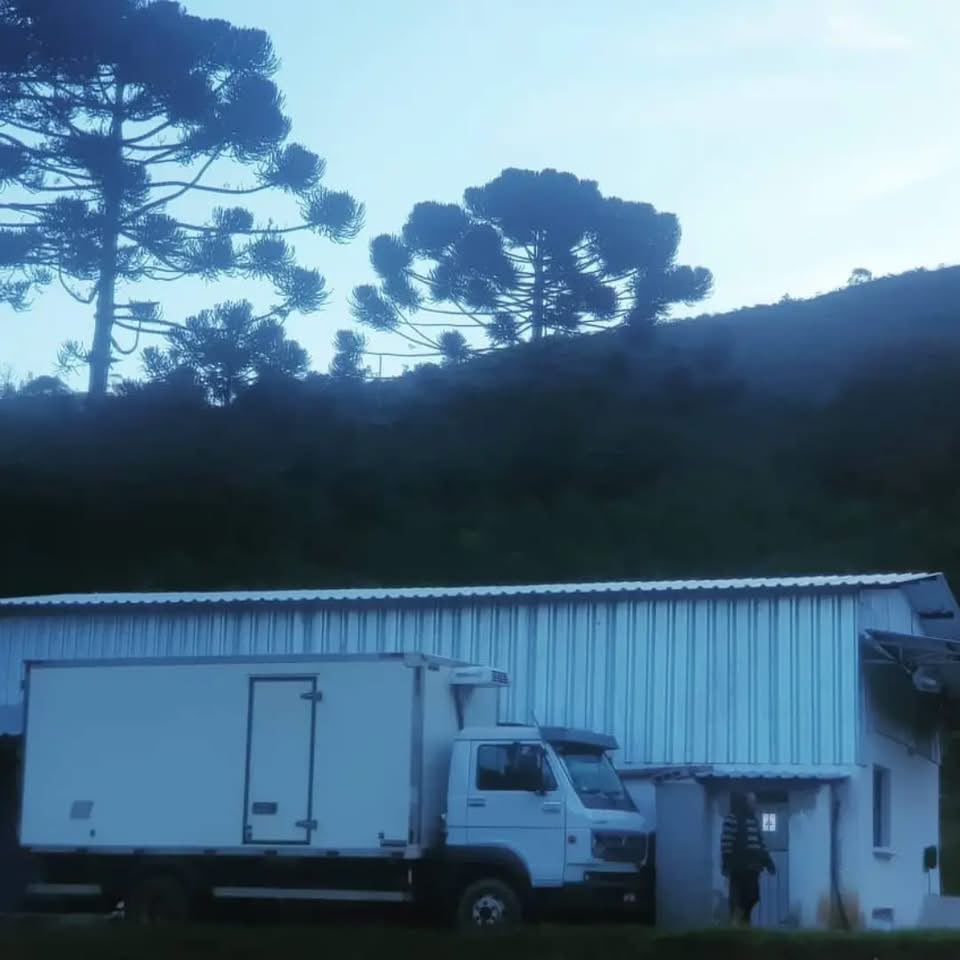 Sítio à Venda em Carvalhos - Minas Gerais