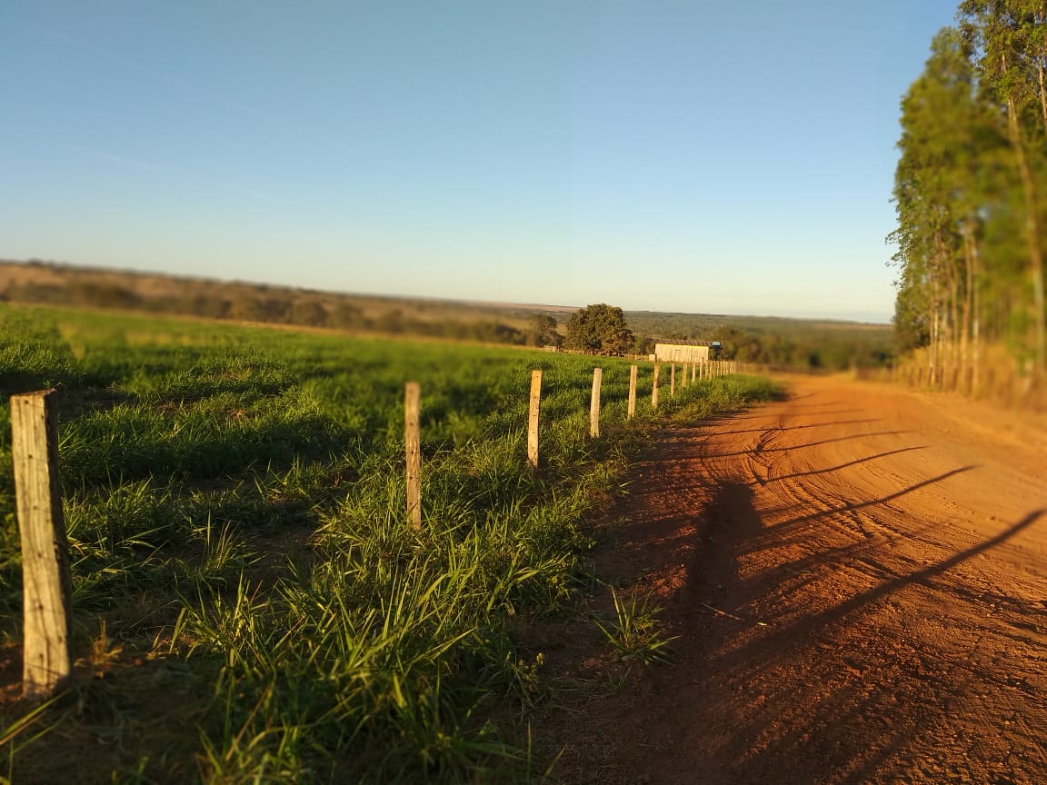 Fazenda à Venda em Canarana - Mato Grosso