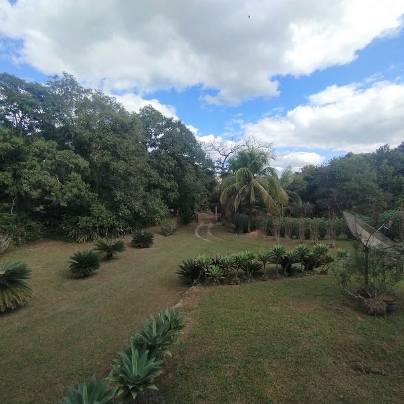 Chácara à Venda em Leopoldina - Minas Gerais