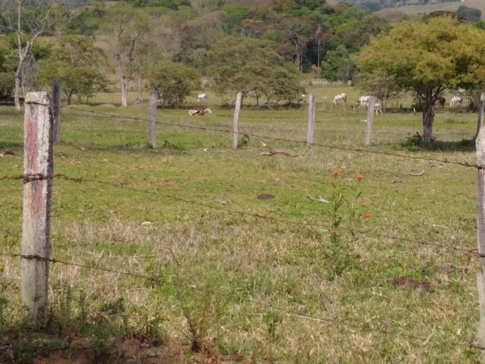 Fazenda à Venda em Itajubá - Minas Gerais