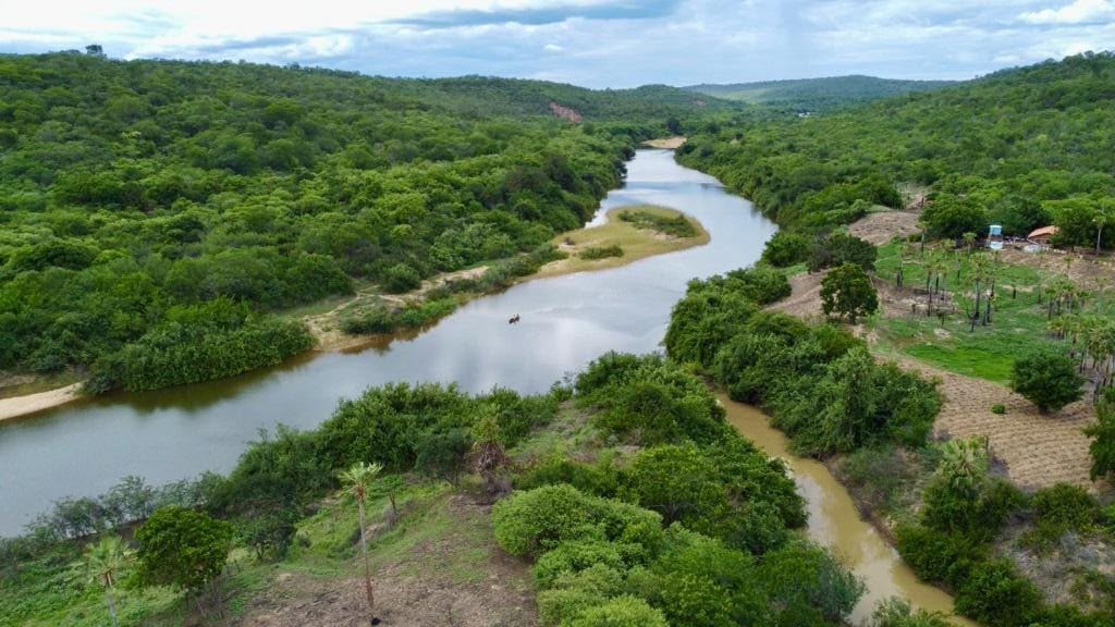 Fazenda à venda na Região do MATOPIBA - Piauí