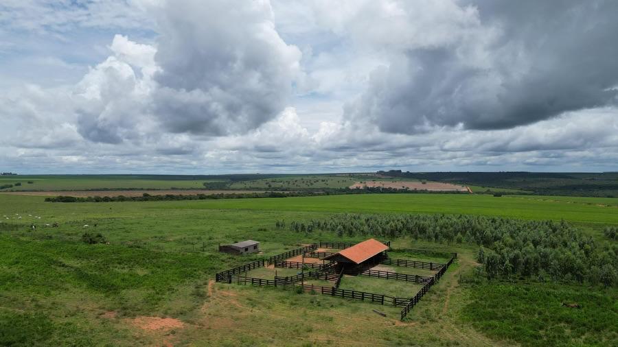 Fazenda à Venda no Mato Grosso do Sul
