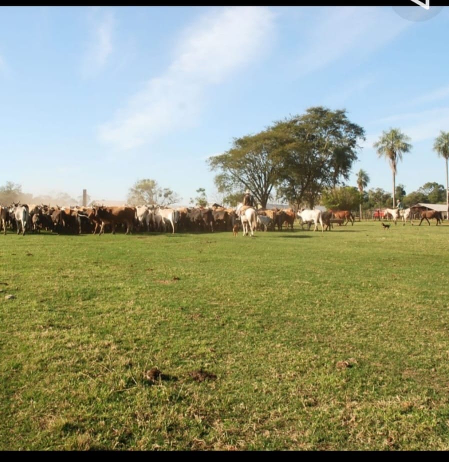 Fazenda de Porteira Fechada no Paraguai