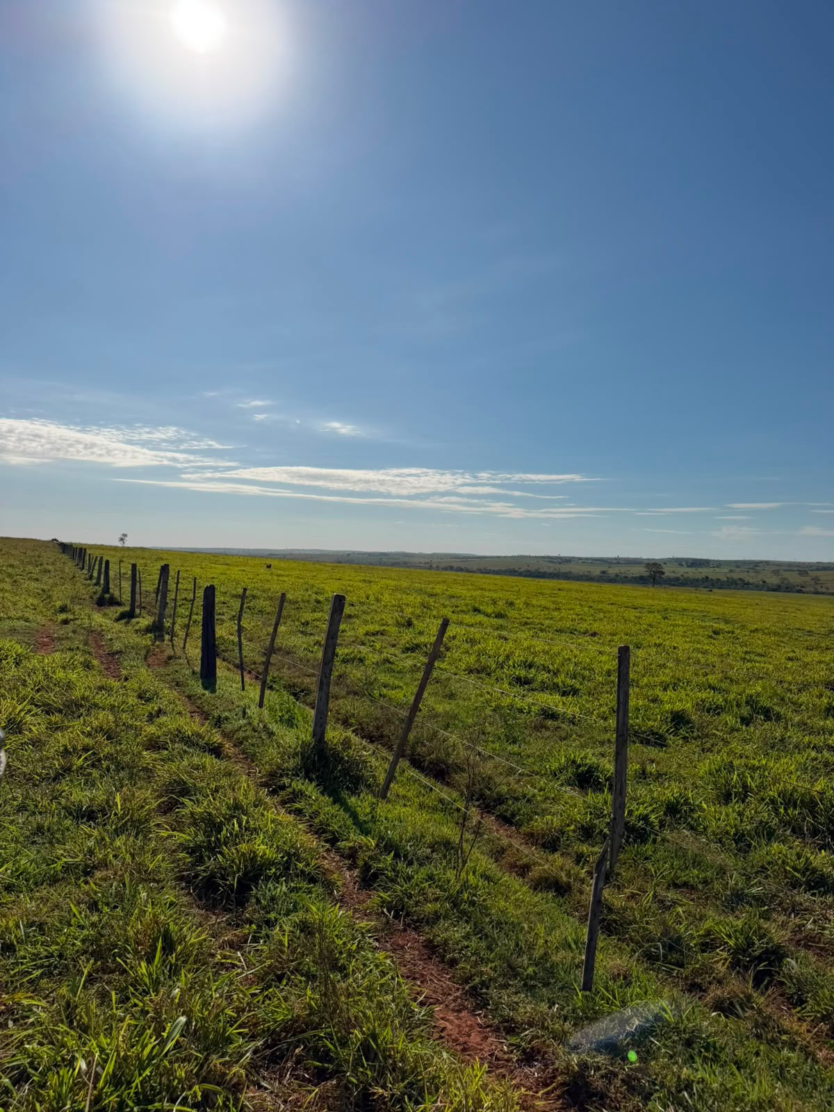 Fazenda à Venda na Região de Presidente Prudente