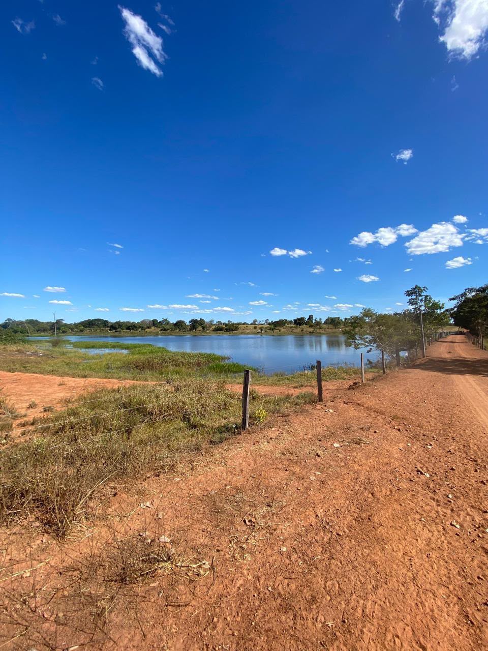 Fazenda à Venda em Mundo Novo - GO