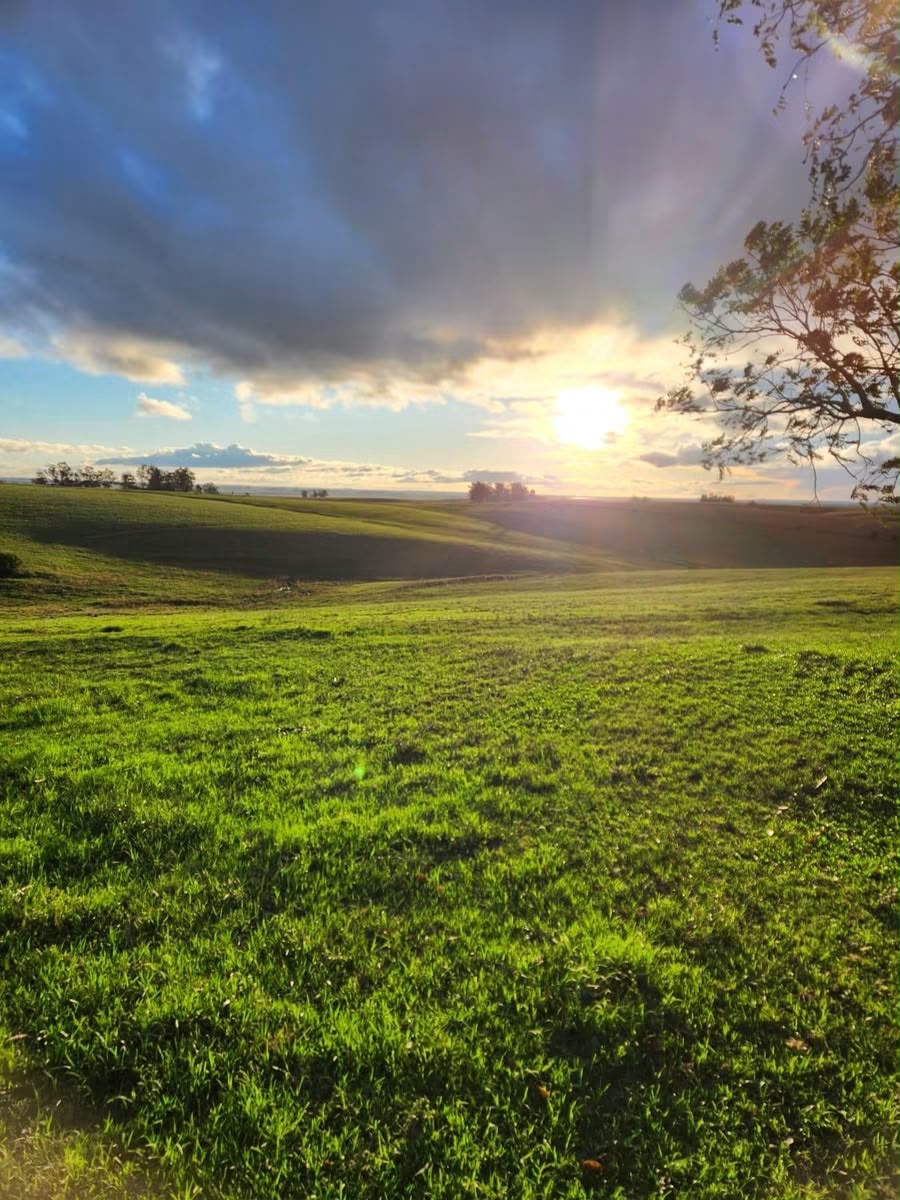 Fazenda à Venda em Dom Pedrito - RS