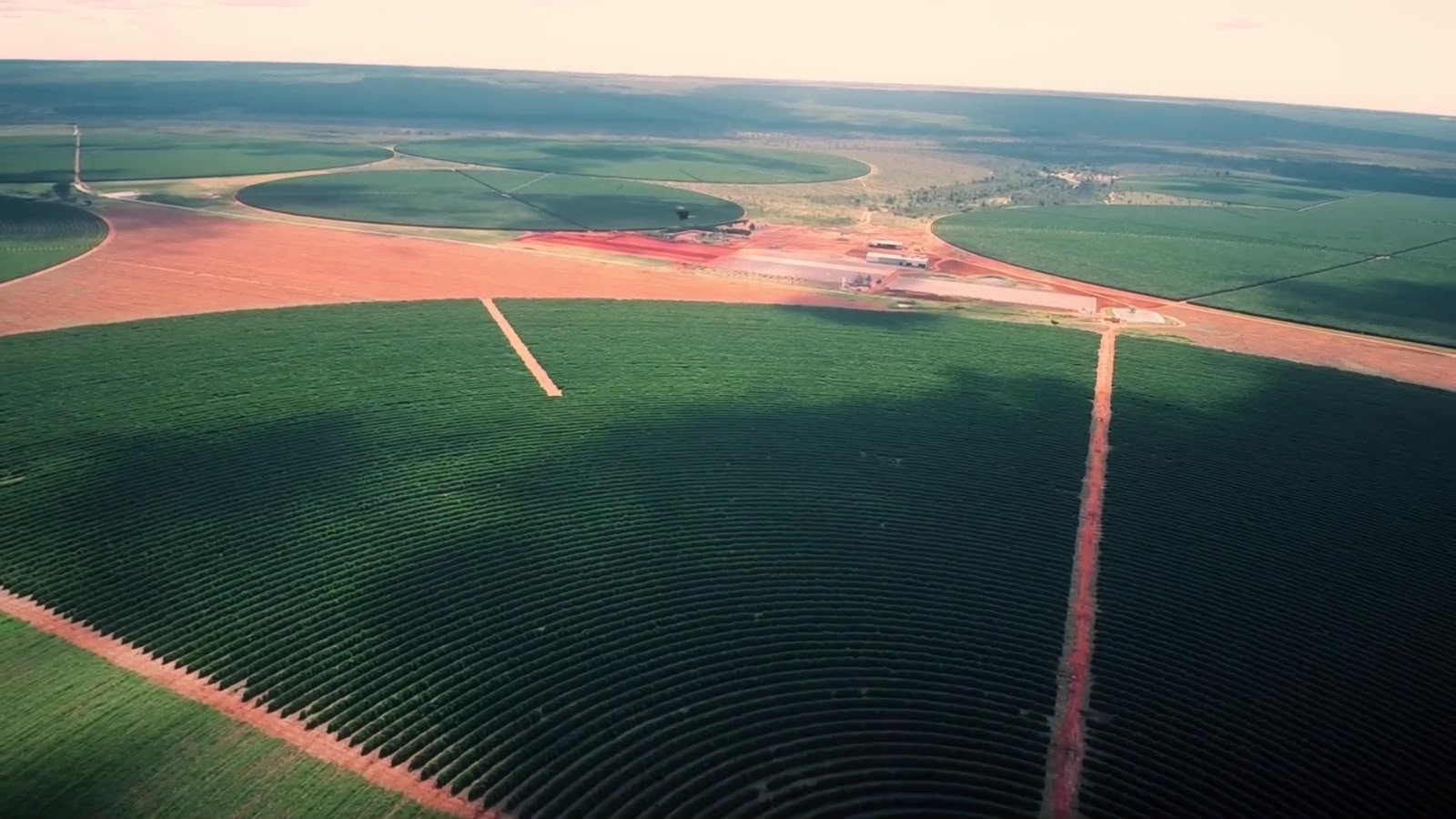 Fazenda de Café a Venda em Minas Gerais