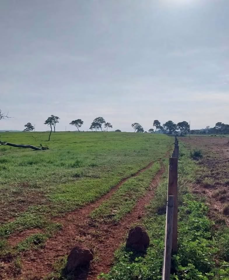 Fazenda à Venda em Rondonópolis