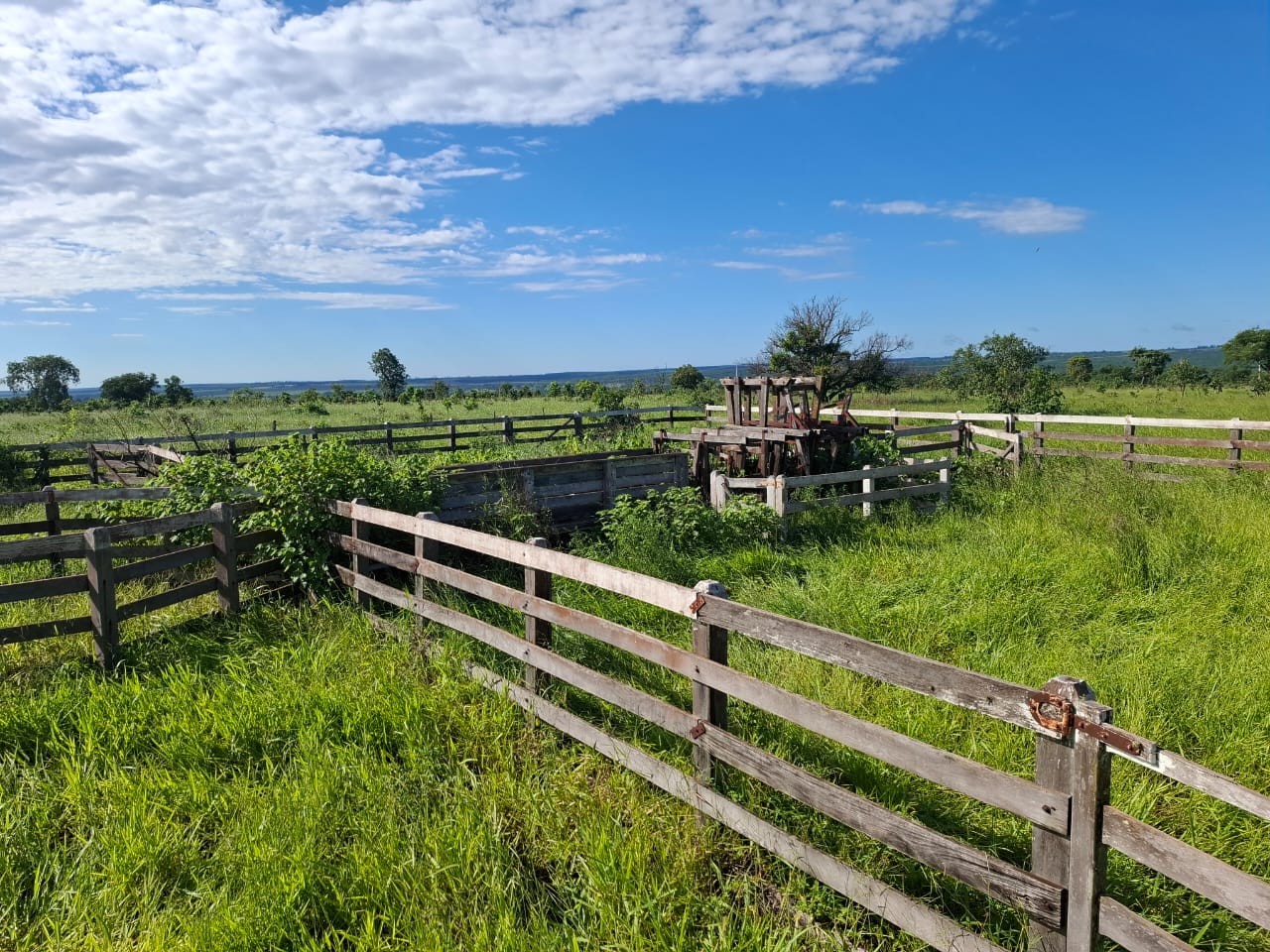 Oportunidade Fazenda à Venda em Selvíria