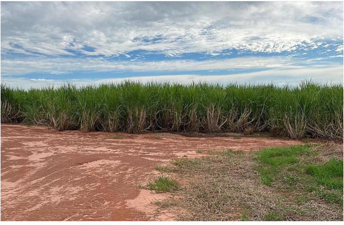 Fazenda à Venda em Três Lagoas