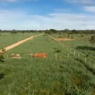 Fazenda à Venda em Araguaçu