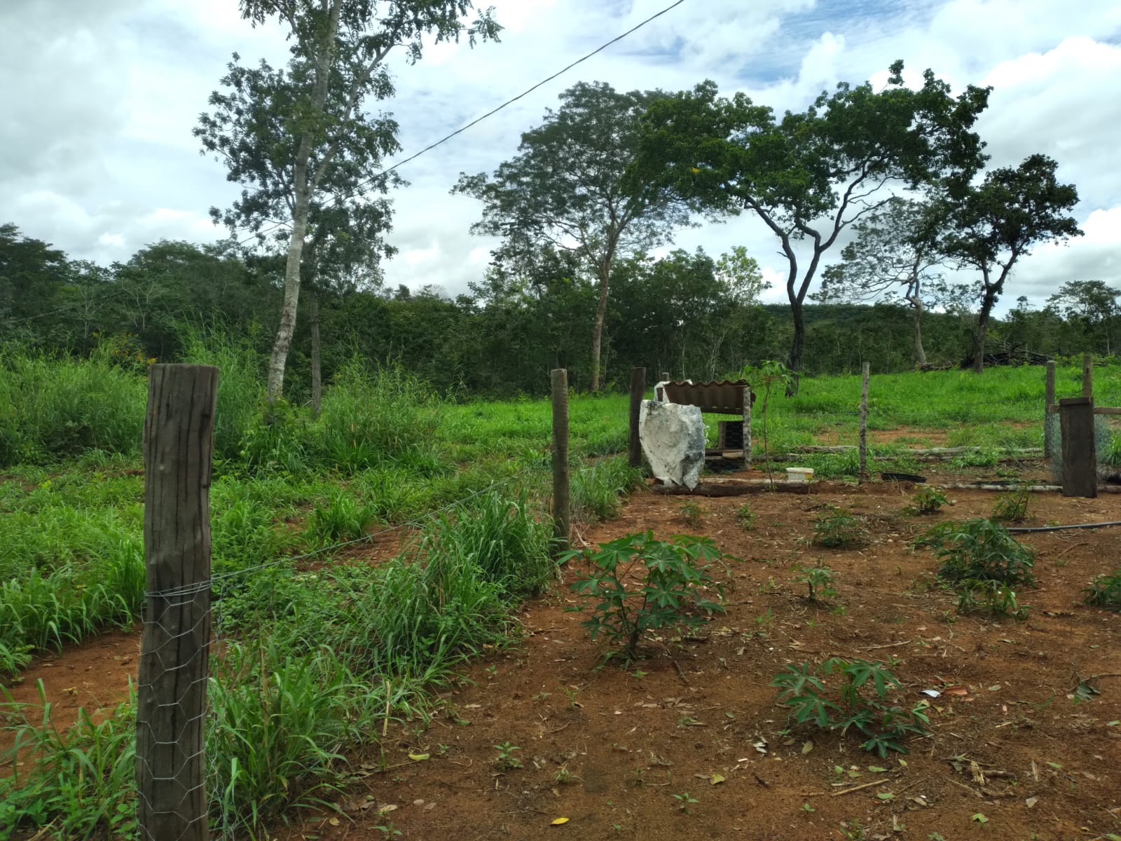Fazenda à Venda na Região de Guiratinga