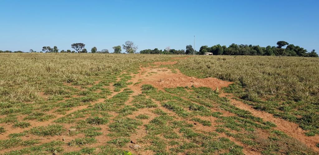 Fazenda à Venda em Serranópolis