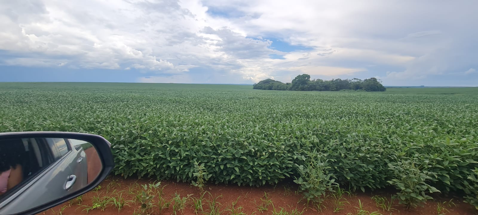 Fazenda para Arrendamento em Paranatinga