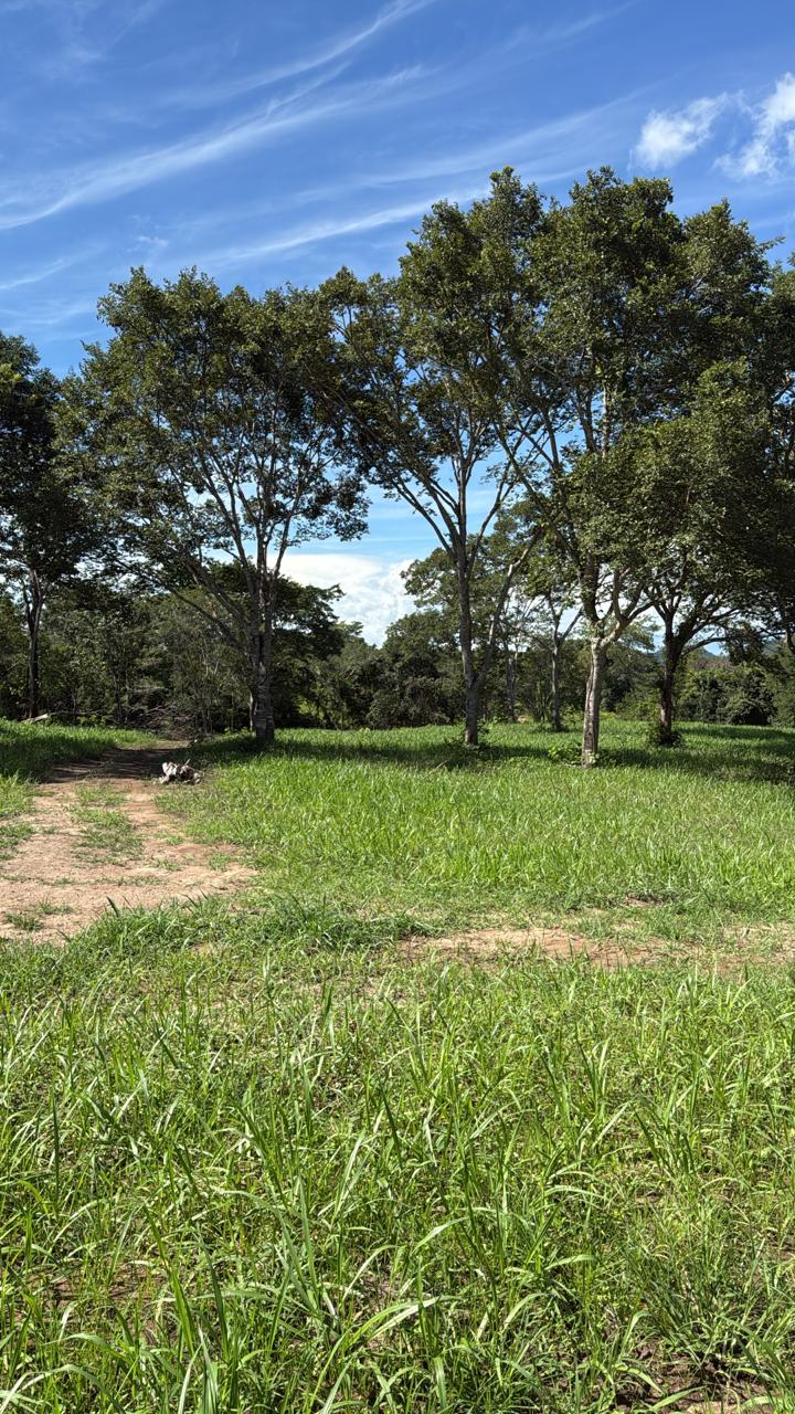 Oportunidade Fazenda à Venda em Niquelândia - GO