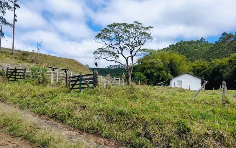 Fazenda à Venda em Barbacena