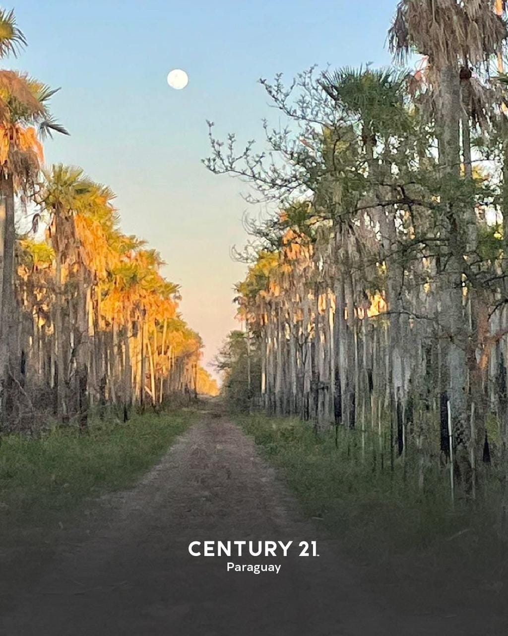 Fazenda à Venda em Fuerte Olimpo Alto Paraguay
