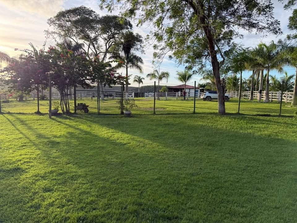 FAZENDA DE ALTO PADRÃO À VENDA – ITANAGRA