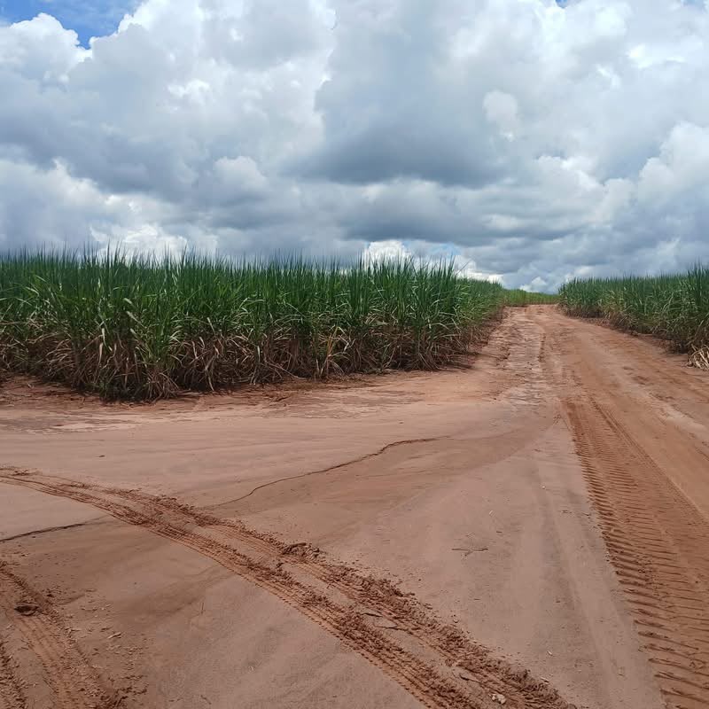 Fazenda à Venda Santo Antônio da Alegria - SP