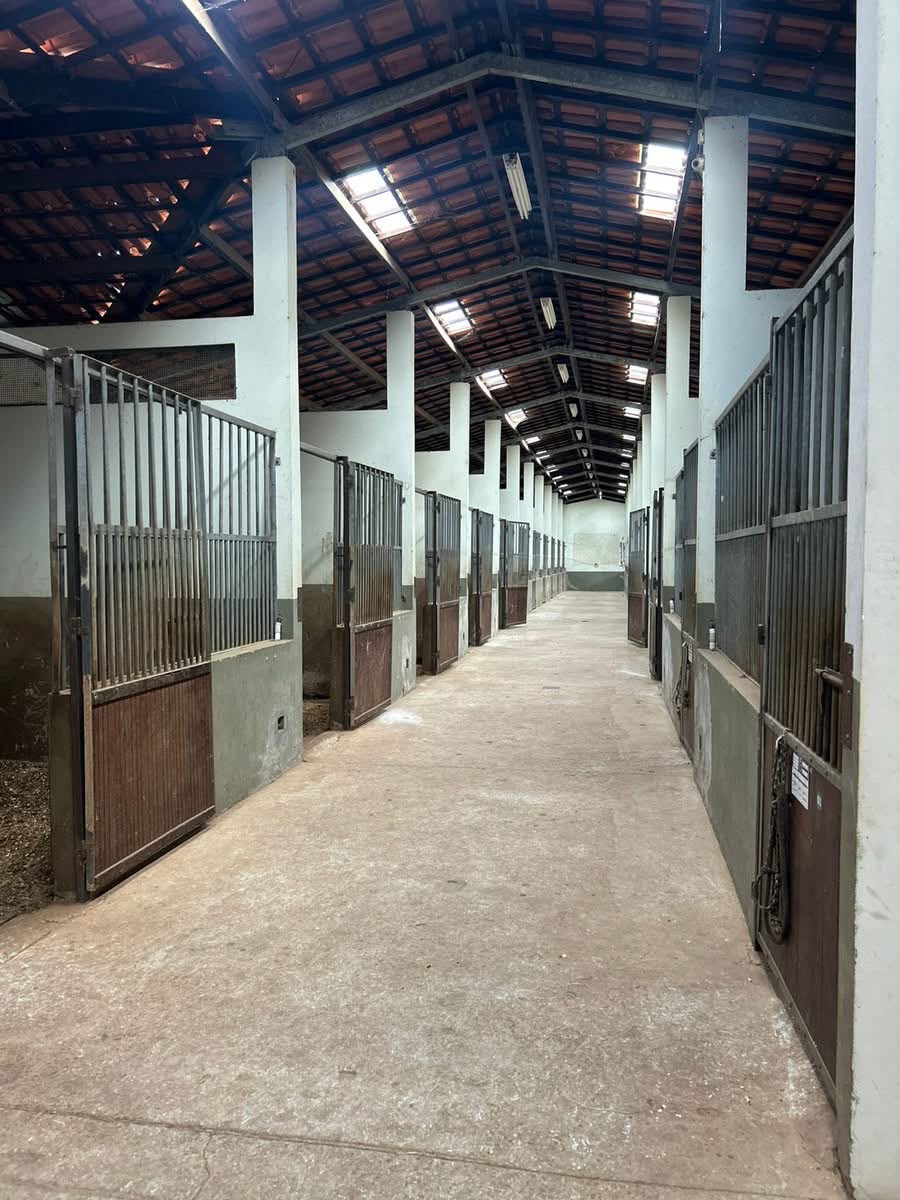 Sítio à Venda Haras de Alto Padrão Caçapava - SP