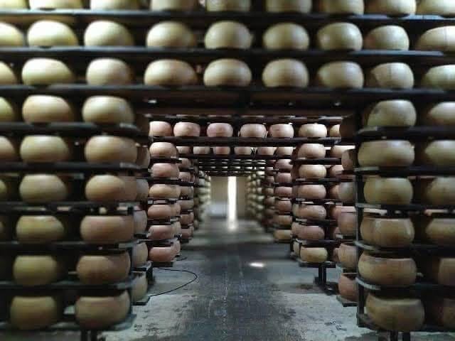 Fazenda com Laticínio e Suinocultura à Venda Sul de Minas Gerais - MG