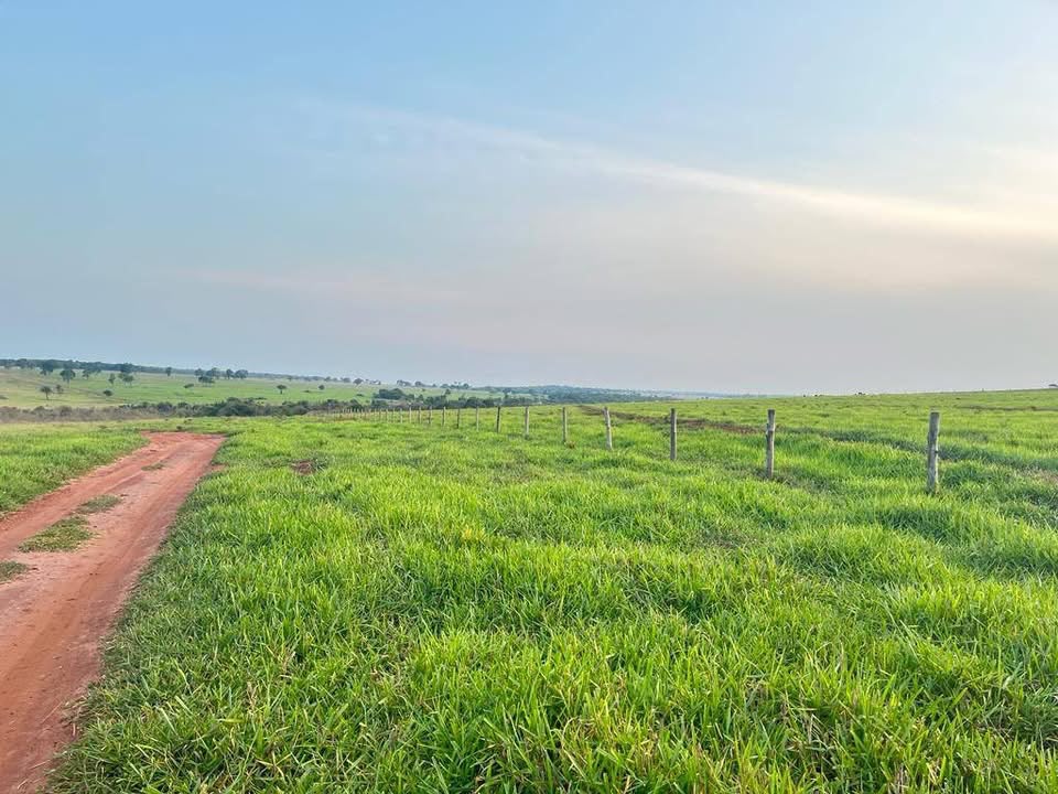 Fazenda à Venda Campo Grande - MS