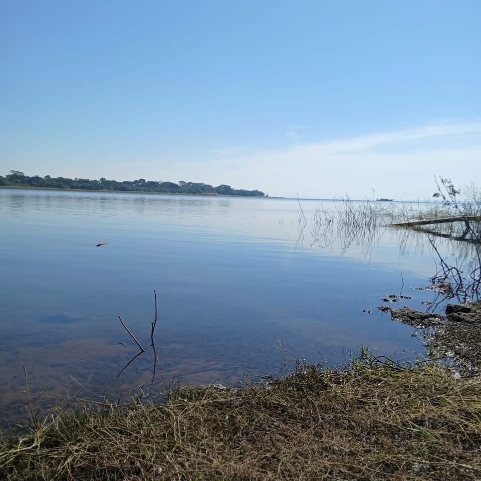 Fazenda Produtiva à Venda Mira Estrela - SP