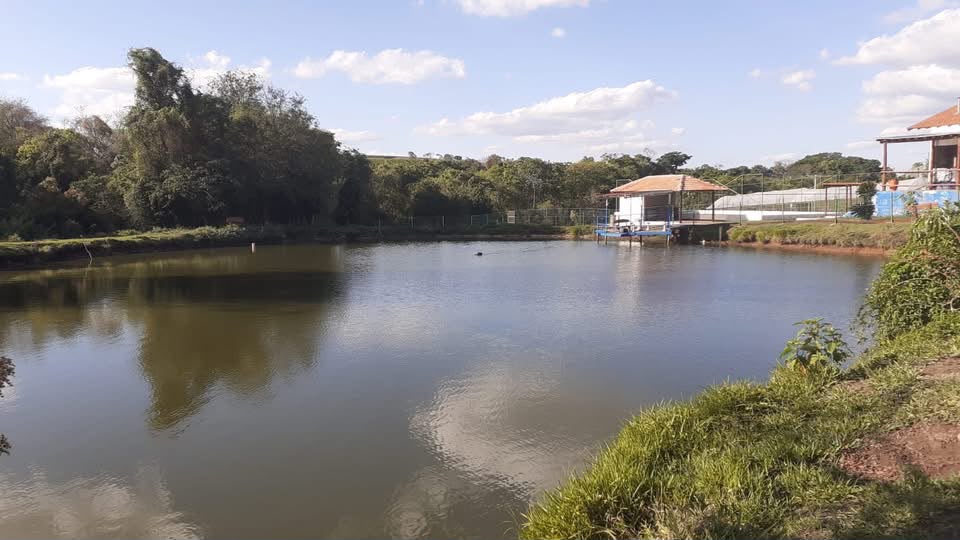 Sítio à Venda Santo Antônio da Alegria - SP