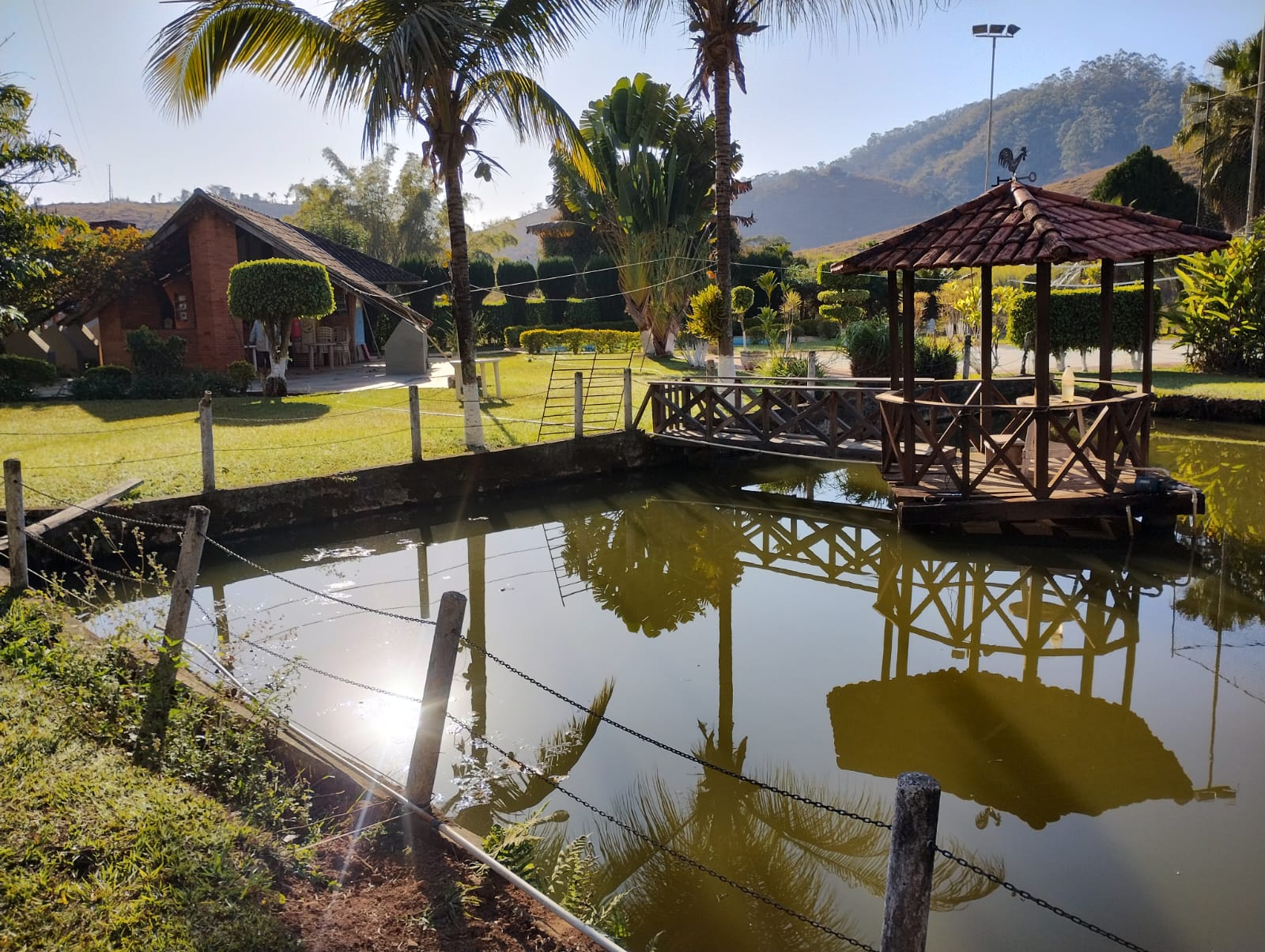 Fazenda à Venda Viçosa - MG