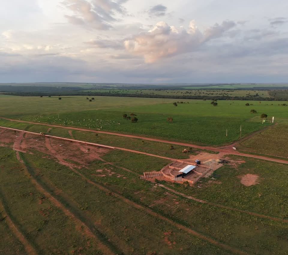 Fazenda à Venda Paraíso das Águas - MS