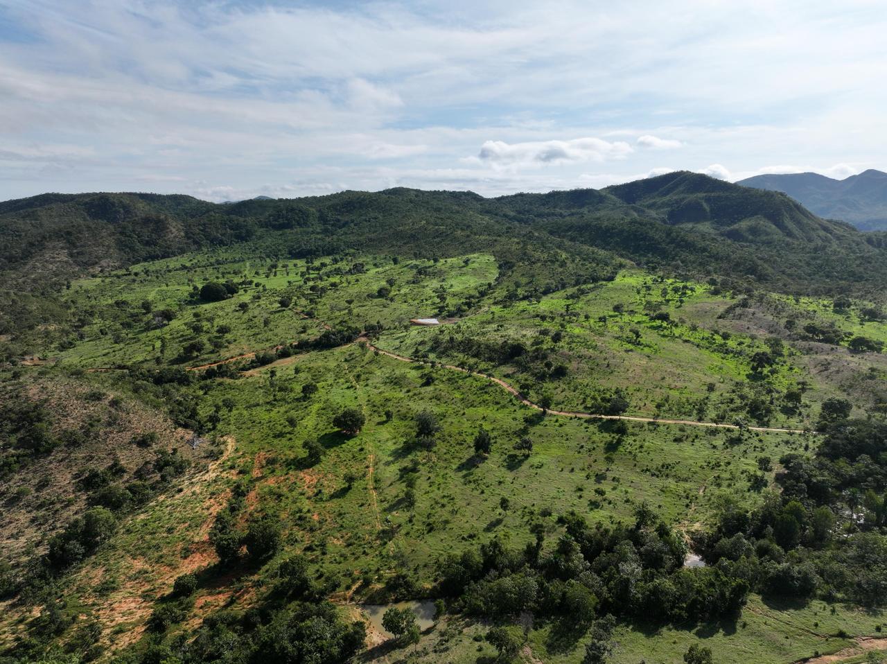 Fazenda à Venda Minaçu - GO OPORTUNIDADE